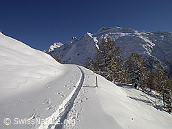 F008973: Skitourenspur durch Berglandschaft