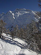 F008978: Schneebedeckte Berglandschaft mit Skispur