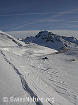 F009002: Schneeverwehung, Wächte und Ofenhorn