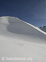 F009053: Triebschnee am Gipfel des Gandhorns