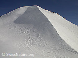 F009054: Flanke mit sehr viel Triebschnee