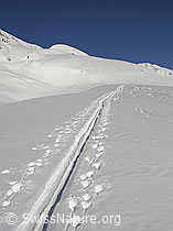 F009130: Gerade Linie einer Skispur Richtung Gandhorn