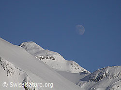 F009150: Hohsandhorn mit Mond