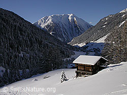 F009186: Chalet in tief verschneiter Berglandschaft