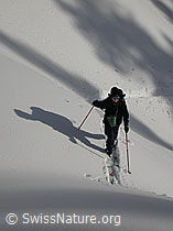 F009215: Skitour: Im Aufstieg