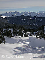 F009249: Grünenberg, Brienzergrat (Brienzer Rothorn, Tannhorn)