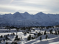 F009251: Verschneites Seefeld und Berner Alpen