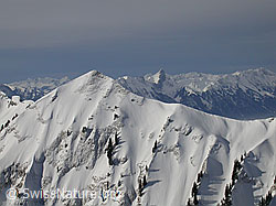 F009274: Sieben Hengste: Burst und Stockhorn