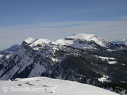 F009276: Sieben Hengste: Hohgant West und Steinigi Matte