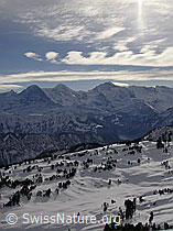 F009286: Sieben Hengste: Eiger, Mönch Jungfrau