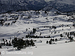 F009310: Seefeld vom Gipfel der Sieben Hengste