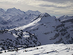 F009312: Gemmenalphorn