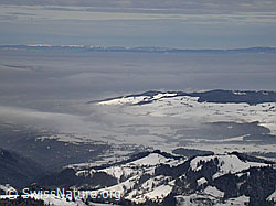 F009325: Nebelmeer über dem Mittelland