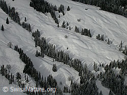 F009334: Tiefblick auf Winterlandschaft
