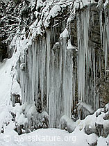 F009349: Eiszapfen an Felswand