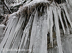 F009357: Eiszapfen an Felswand