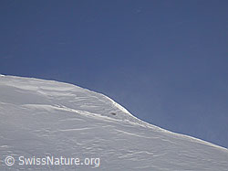 F009422: Schwache Schneeverfrachtung am Gandhorn