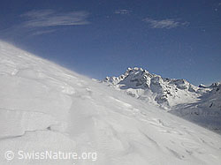 F009445: Schneeverfrachtung und Ofenhorn