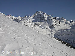 F009446: Ofenhorn und Struktur in Schneedecke