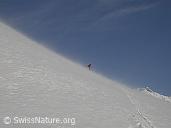 F009448: Abfahrt durch aufgewirbelten Triebschnee