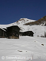F009489: Winterliches Imfeld und Grosses Fülhorn