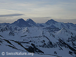 F009507: Schnierenhörnli, Eiger, Mönch, Jungfrau