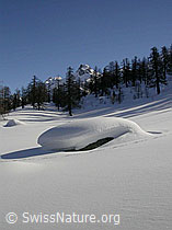 F009620: Eingeschneiter Felsblock in unberührter Landschaft