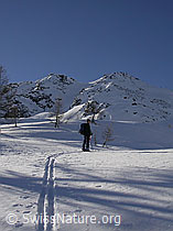 F009697: Skispur und Skiläufer bei Hockbode