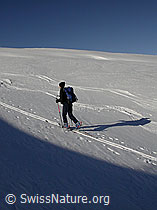 F009705: Skitour