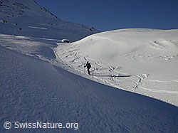 F009713: Auf Skitour durch ein kleines Tal