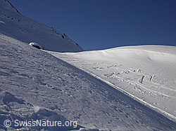 F009716: Landschaft mit Skispuren bei Hockbode