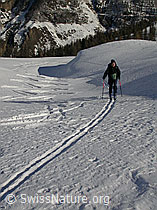 F009729: Skispur und Skiläufer