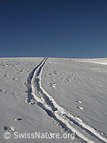 F009734: Skispur verliert sich im Horizont