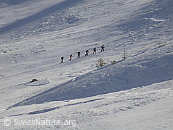 F009742: Gruppe Skitourenfahrer im Aufstieg