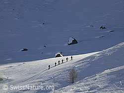 F009747: Mehrere Personen auf einer Skitour