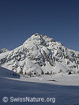 F009823: Zugeschneiter Mässersee und Stockhorn