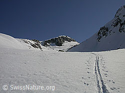 F009837: Skispur durch das Hotäl