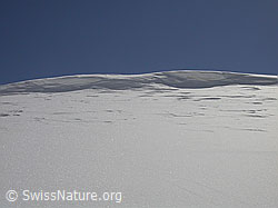 F009861: Kleine Wächte an Gratkante