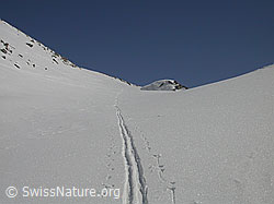 F009862: Skispur zum Mittelbergpass