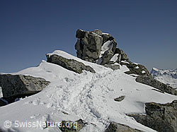 F009867: Gipfelfelsen des Grossen Schinhorn und Fussspuren