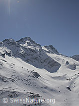 F009877: Schwarzhorn und Fleschhorn