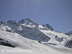 F009884: Winteraufnahme von Schwarzhorn und Felschhorn