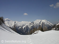 F010060: Fäldbachtal: Hillehorn, Oberblatthorn, Bättlihorn,  Breithorn