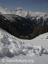 F010065: Kegel eines Nasschneerutsches