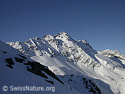 F010171: Schwarzhorn und Fleschhorn