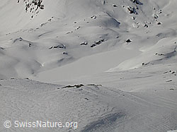 F010196: Grosses Schinhorn: Zugeschneiter Geisspfadsee