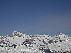 F010199: Aletschhorn, Gross Wannenhorn und Jungfrau