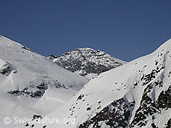 F010249: Furggulti und Helsenhorn