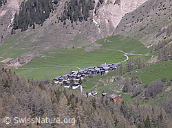 F010265: Bergdorf Imfeld, Binntal