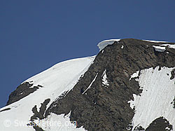 F010461: Wächte über Felswand am Gross Fülhorn